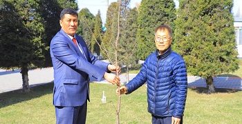 В ОшТУ посадили сакуру