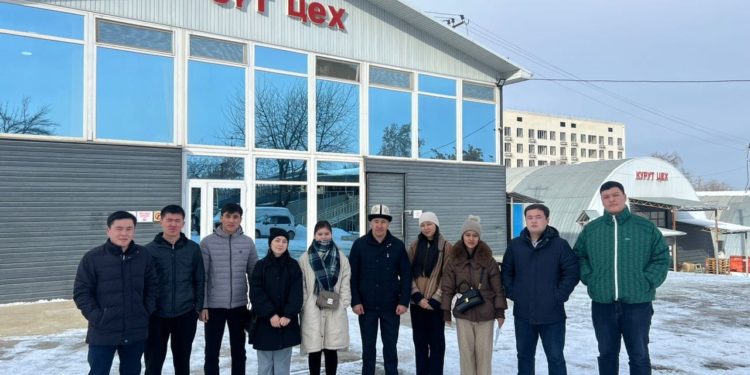 ОшТУнун студенттери «Алайку органикс» ишканасында