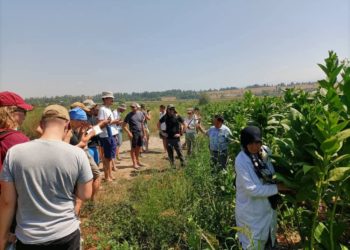 Германиянын Вайенштефан-Триздорф колдонмо илимдер университети менен ОшТУнун окумуштуулары биргеликте илимий изилдөөлөрүн улантып жатышат