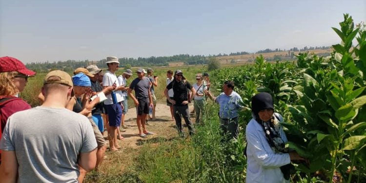 Германиянын Вайенштефан-Триздорф колдонмо илимдер университети менен ОшТУнун окумуштуулары биргеликте илимий изилдөөлөрүн улантып жатышат