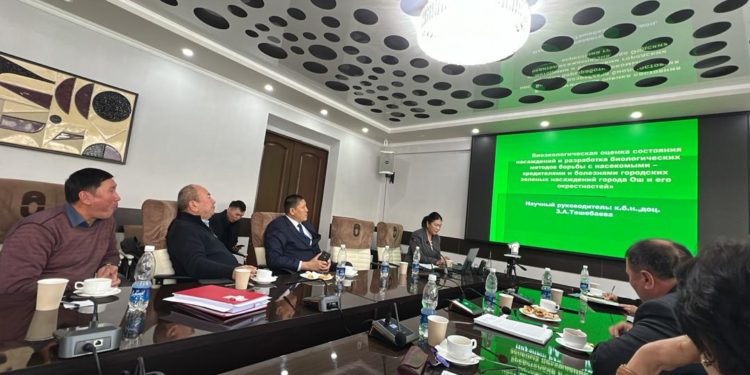 Ош ТУнун илимпоздору Ош шаарынын жашыл аймактарын изилдеп, биологиялык коргоо ыкмаларын сунушташты